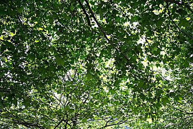 逃生试炼怎么联机？逃生试炼多人联机教程攻略