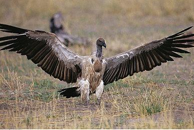 虚幻5制造《公路餐厅模拟器》即将登陆Steam