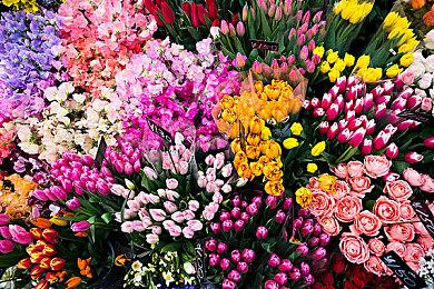 奈须蘑菇：《月姬》重置版Steam有中文 “月姬2”可能是开放世界RPG